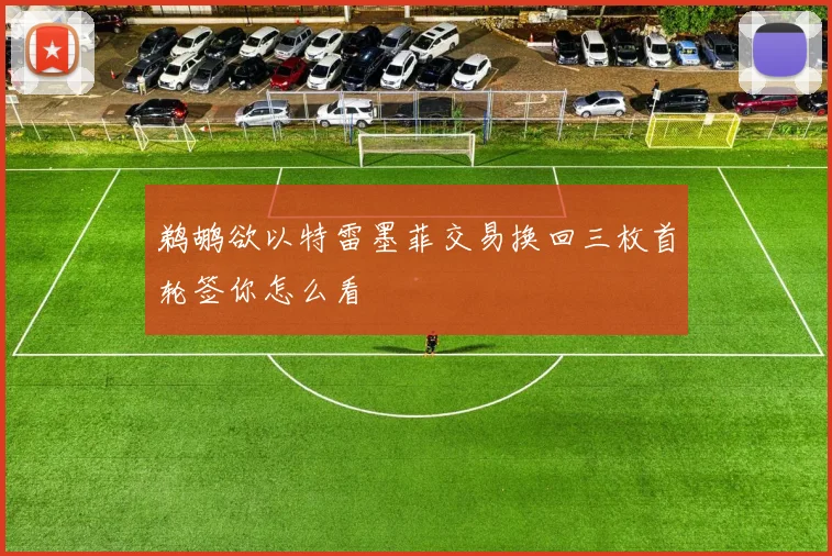 鹈鹕欲以特雷墨菲交易换回三枚首轮签你怎么看